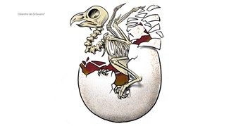 Queima e Rebentamento do Judas 2017